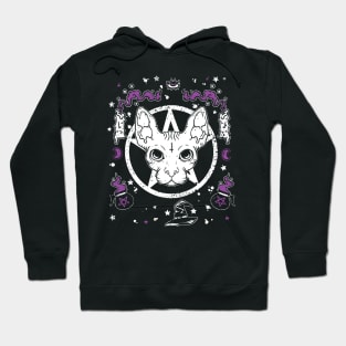 Sphynx Cat Hoodie